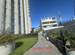 Stylish City Living in the Heart of Newcastle West