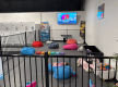 JUMP! Swim Schools – Established & Growing Franchise (Our Ref: V2113)