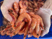 Established Mobile Seafood Retail Business – Three Turnkey Outlets Included