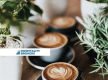 Iconic Canberra Food Business| Net Profit Circa $700k