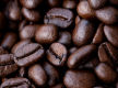 CAFE OPPORTUNITY IN A FANTASTIC LOCATION!