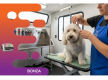 36719 Dog Grooming Business With Loyal Customer Base