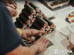 [BBS-105] ESTABLISHED JAPANESE SUSHI TRAIN SHOP IN GLENELG