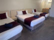 Motel Leasehold for Sale - Overlander Motor Lodge, Gunnedah - Exclusive Agents