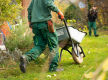 Established Landscaping and Garden Design Business, Queanbeyan / Canberra Region