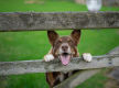 Established Produce, Rural, Pet & Garden Supplies store