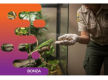 37229 - Profitable Insect Breeding Business - Strong Wholesale Demand