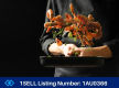 Established Restaurant in Western Sydney