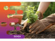 37266 Established Garden Maintenance Business With Recurring Strata Contracts
