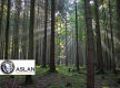 LAND FOR SALE IN NEW ZEALAND