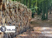 LAND FOR SALE IN NEW ZEALAND