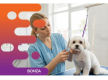 37281 Profitable Dog Grooming Salon With Established Clientele