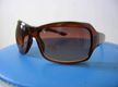 Sunglasses Market Stall Business