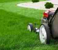 Garden And Tree Services Business For Sale in Manly Sydney NSW 