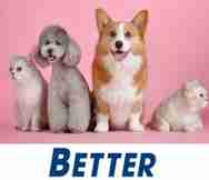 Animals And Pets Business For Sale in QLD 