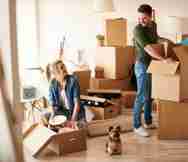 Service Business For Sale in Sunshine Coast QLD 