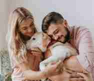 Animals And Pets Business For Sale in Sydney NSW 