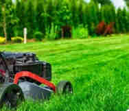 Garden Nursery For Sale in Sydney NSW 