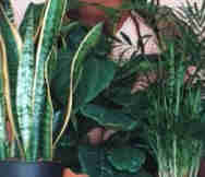 Home Based Business For Sale in Mackay Townsville Mackay QLD 