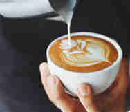 Cafe For Sale in Marrickville Sydney NSW 