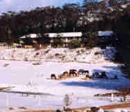 Hotels For Sale Motels For Sale in Cootralantra Regional Nsw NSW 