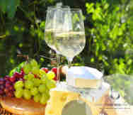 Bottle Shops For Sale in AUK 