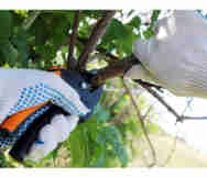 Garden Nursery For Sale in Mittagong South Coast Nsw 