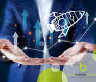 Import Business For Sale in Sydney AUK 