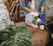 Florist For Sale in Mascot Sydney NSW 