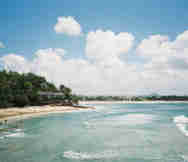 Real Estate Agency For Sale in Noosa Heads Sunshine Coast QLD 