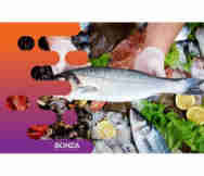 Mobile Service Business For Sale in Albury Murray Nsw 