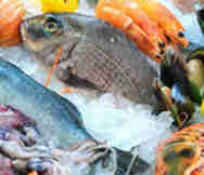 Cafe For Sale in Miranda Sydney NSW 