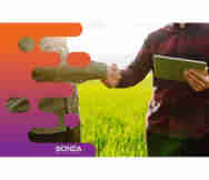 Rural Business For Sale in Brisbane Qld 