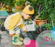 Childcare For Sale in MWT 