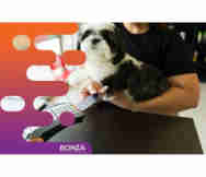 Animals And Pets Business For Sale in North Lakes Brisbane Qld 
