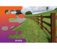 Rural Business For Sale in Pomona Qld 