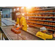 Manufacturing And Industrial Business For Sale in Buderim Sunshine Coast Qld 