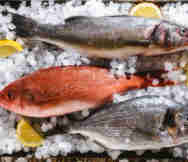 Seafood Business For Sale in Ballarat West Vic VIC 