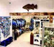 Franchise For Sale in Gold Coast QLD 