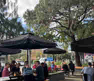 Cafe For Sale in Erskineville Sydney NSW 