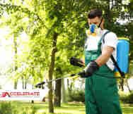 Garden Nursery For Sale in Port Lincoln SA 