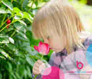 Childcare For Sale in AUK 