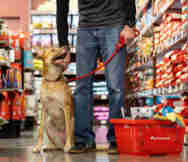 Butcher Shops For Sale in Dandenong Melbourne VIC 