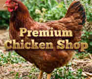 Butcher Shops For Sale in Brisbane City Brisbane QLD 
