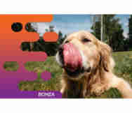 Animals And Pets Business For Sale in Mandurah South Coast Wa Wa 