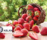 Fruit And Veg Shop For Sale in Northcote Melbourne Vic 