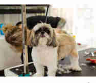 Mobile Service Business For Sale in Everton Park Brisbane QLD 