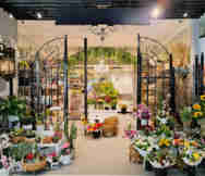 Homeware Business For Sale in 
