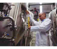 Food Related Businesses in Murwillumbah North Coast Nsw 