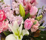 Gift Business For Sale in Riverwood Sydney NSW 